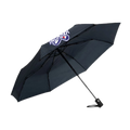 fan-schirm