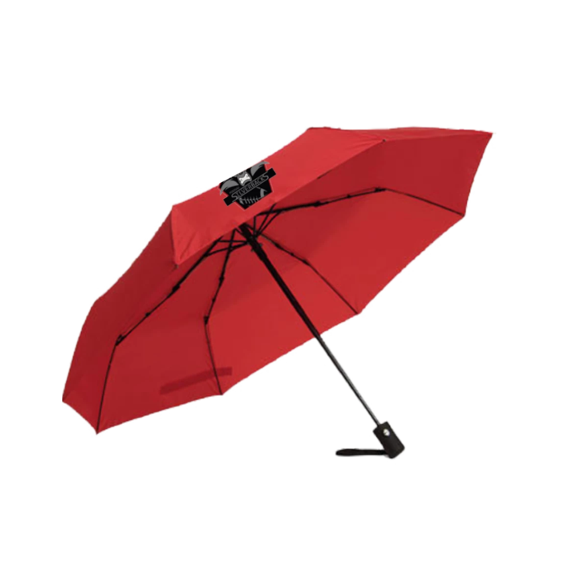 fan-schirm