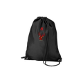 fan-gymbag