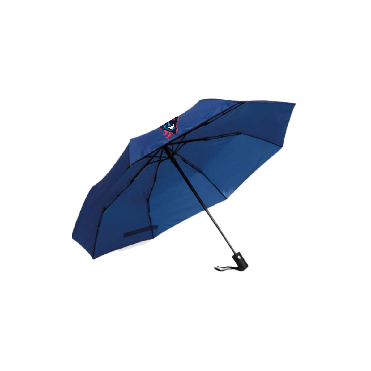 fan-schirm