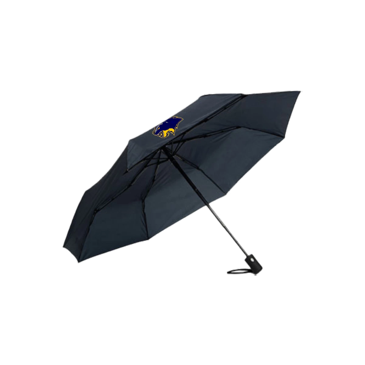 fan-schirm