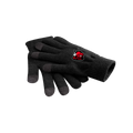 fan-gloves