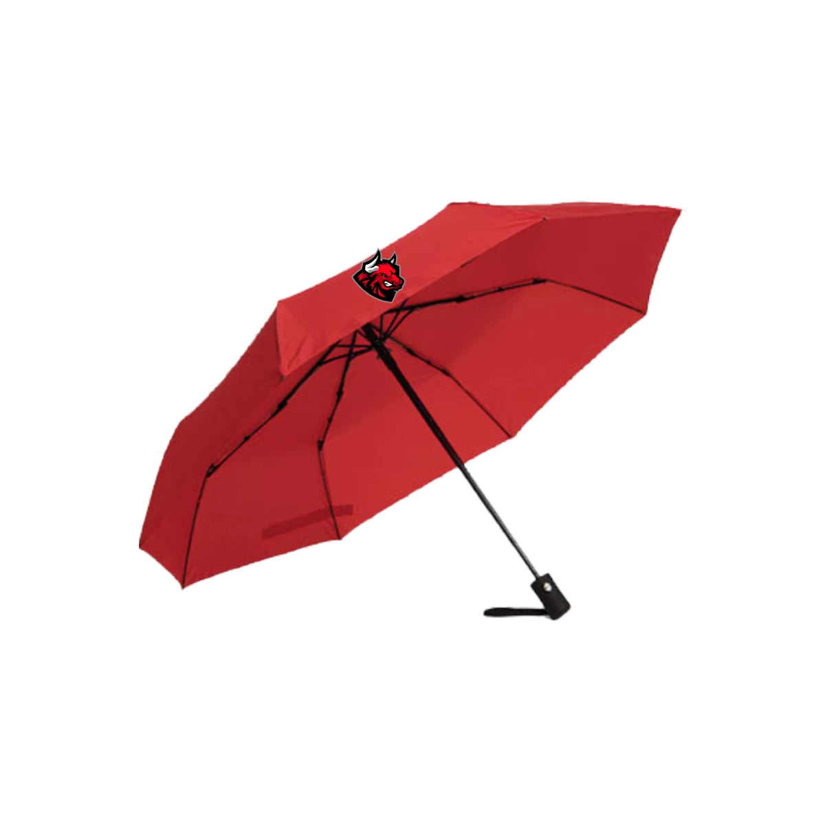 fan-schirm