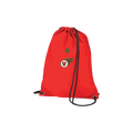fan-gymbag