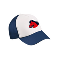 spring-fan-trucker