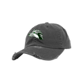 spring-fan-cap
