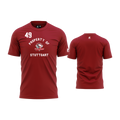 spring-team-tee-po