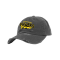 spring-fan-cap