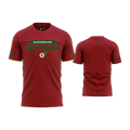 spring-team-tee-ds