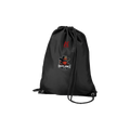 fan-gymbag