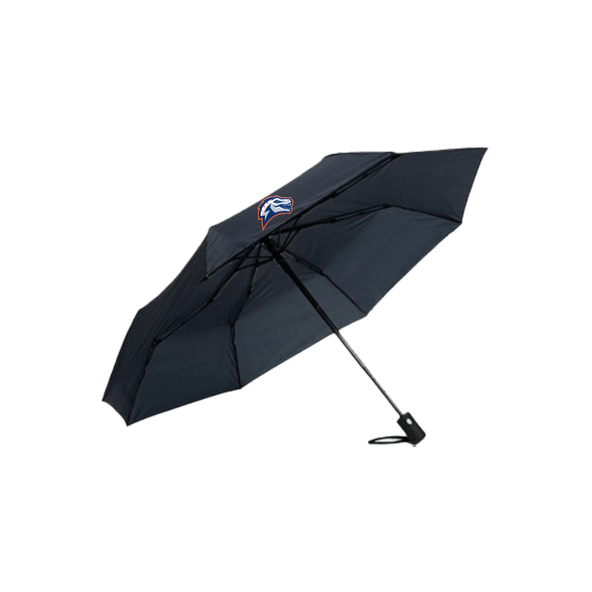 fan-schirm