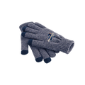 Copenhagen Raptors Fan Touch-Screen Smart Gloves