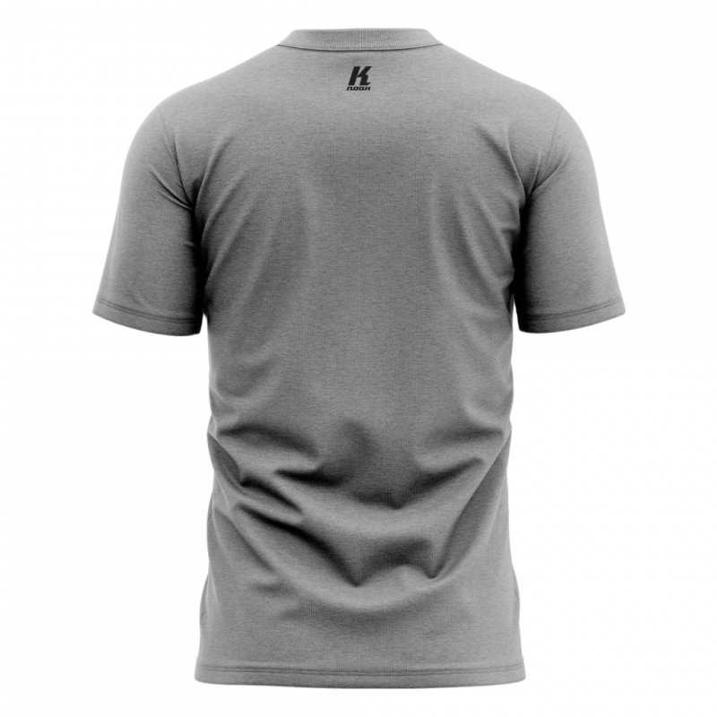 Tshirt1-Grey-back