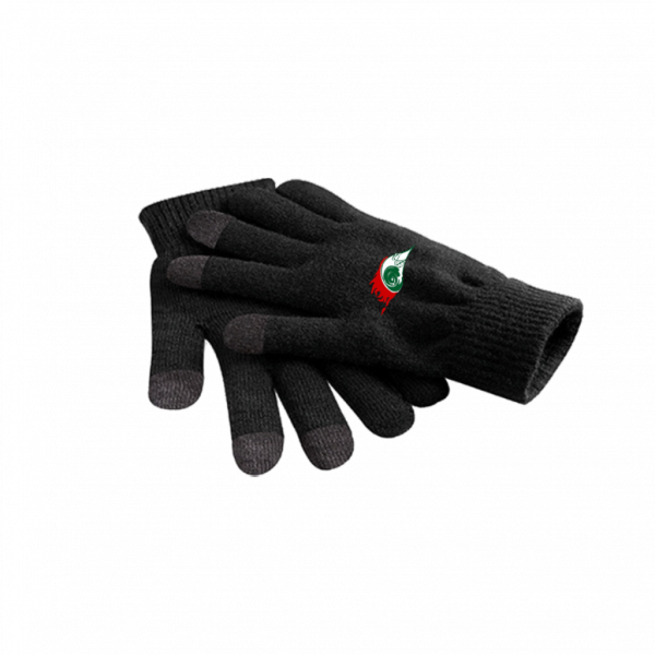 Landsberg X-Press Fan Touch-Screen Smart Gloves