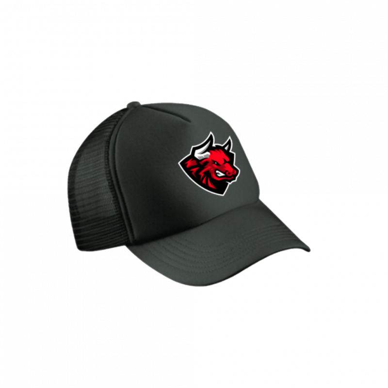 spring-fan-cap-trucker