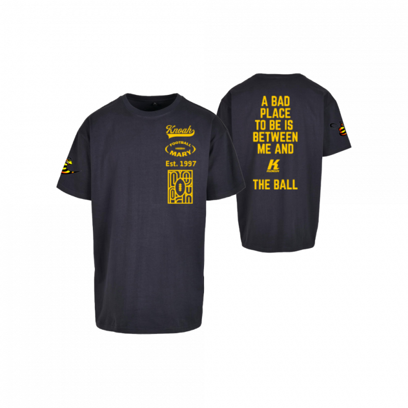 spring-fan-fm-badplace