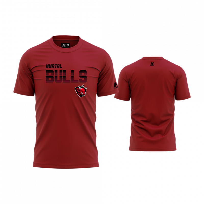 spring-fan-tee-teamflow