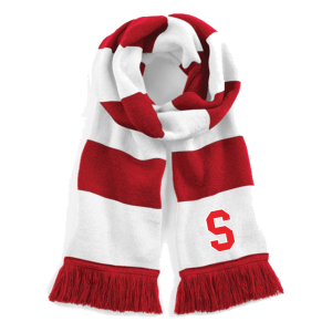 Stuttgart Scorpions Fan Stadium Scarf