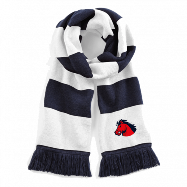 Recklinghausen Chargers Fan Stadium Scarf