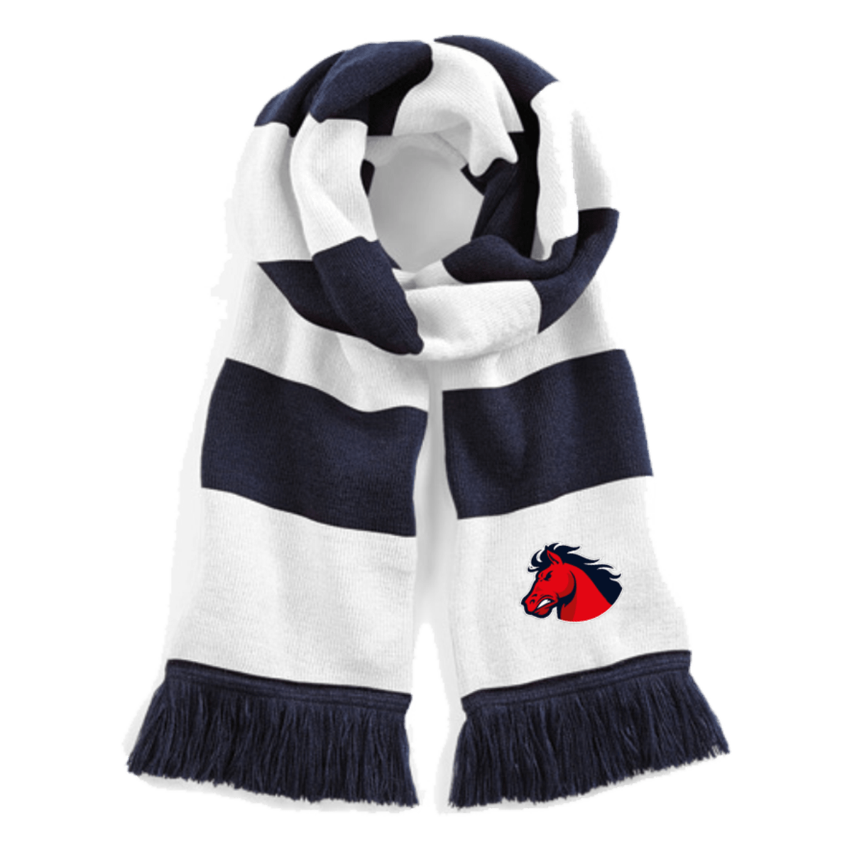 Recklinghausen Chargers Fan Stadium Scarf