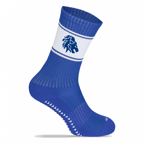 Luzern Lions Fan Ballersocks