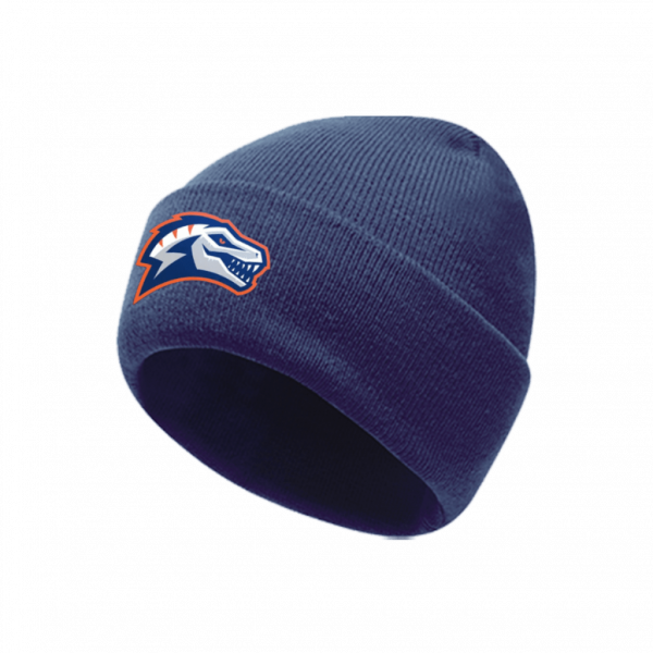 Eindhoven Raptors Fan Cuffed Beanie