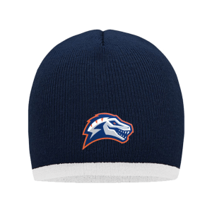 Eindhoven Raptors Fan Contrast Beanie