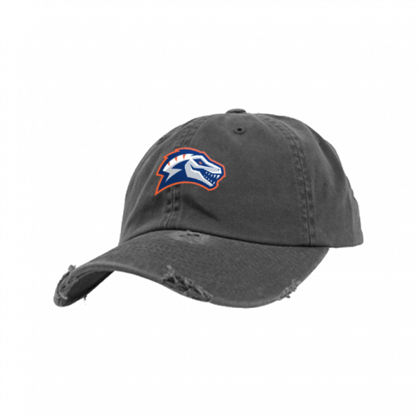 Eindhoven Raptors Fan Destroyed Adjustable Cap