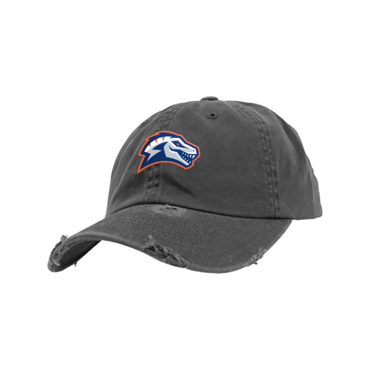 Eindhoven Raptors Fan Destroyed Adjustable Cap